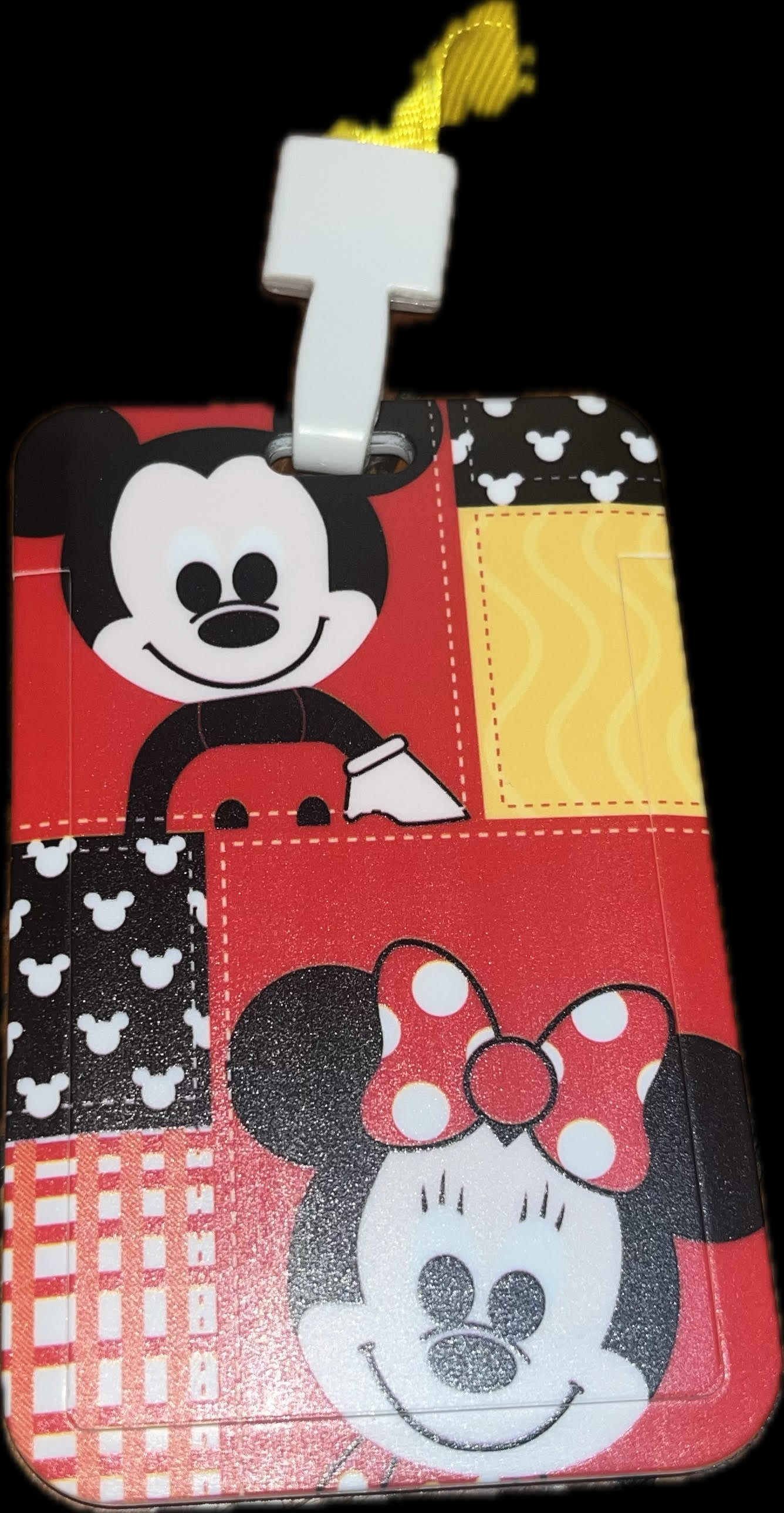 Character ID holders with lanyards